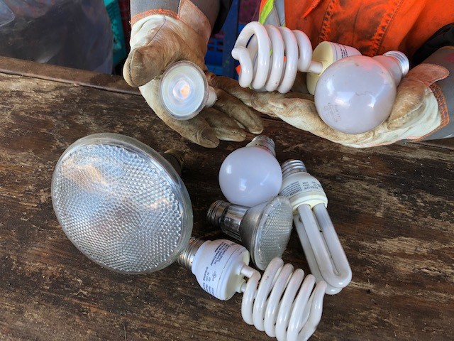 various sizes and types of lightbubs