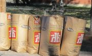 leaf and yard waste bags full setout for collection