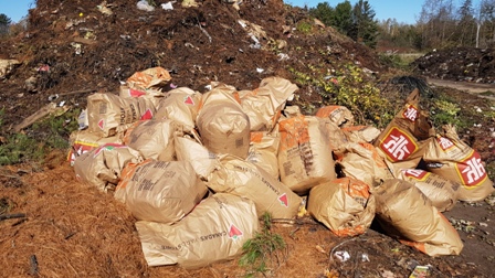 leaves in paper bags ready to be composted