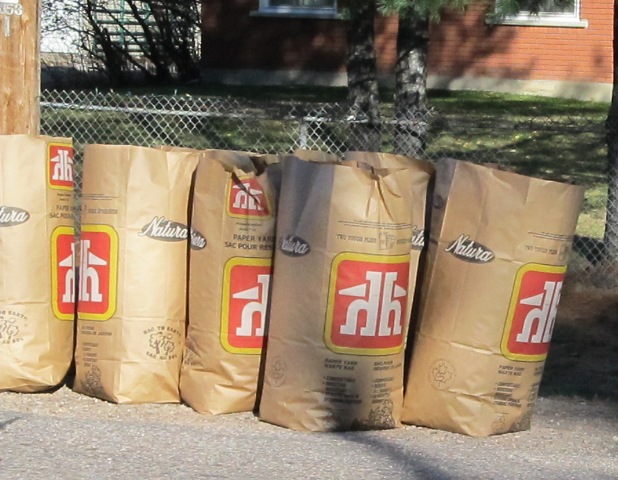 paper leaf and yard waste bags filled and placed at curbside for collection
